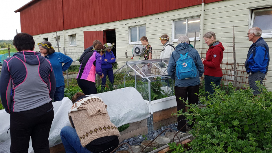 Bak fjøsveggen på Myr Østre gror grønnsakene godt!