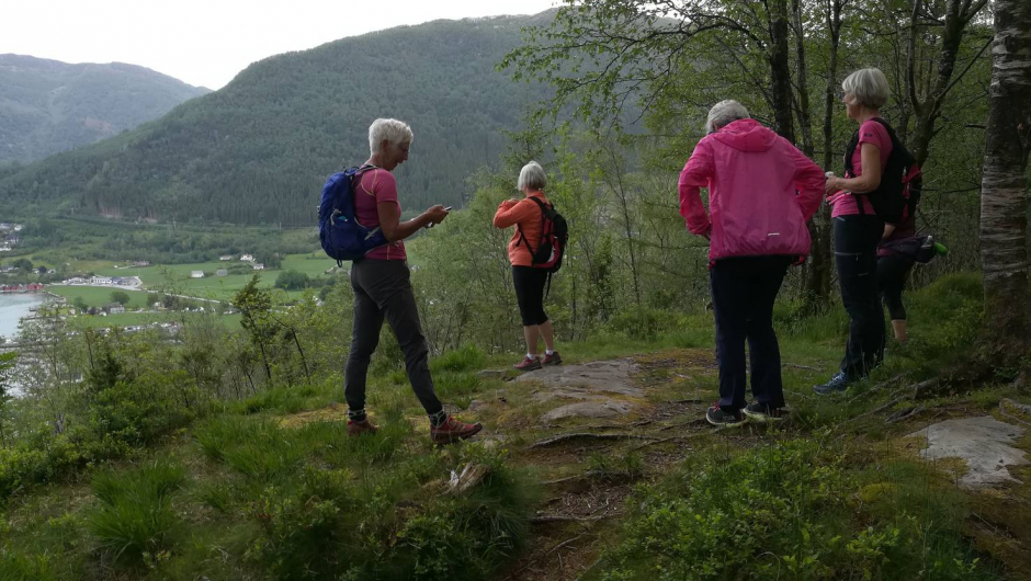 Framme til utsikten mot Rosendal. Framme til utsikten mot Rosendal.
