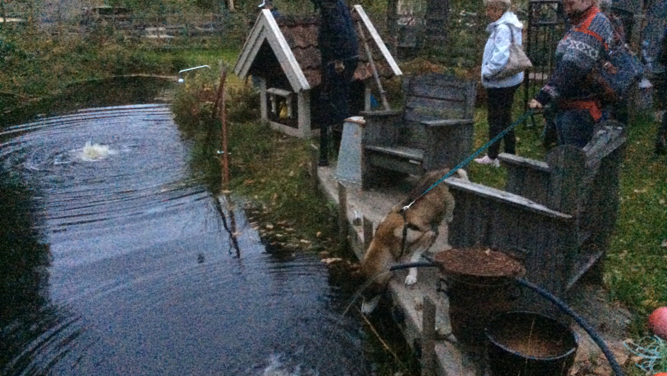En støvsuger brukes for å få oksygen i dammen som har noen fisker