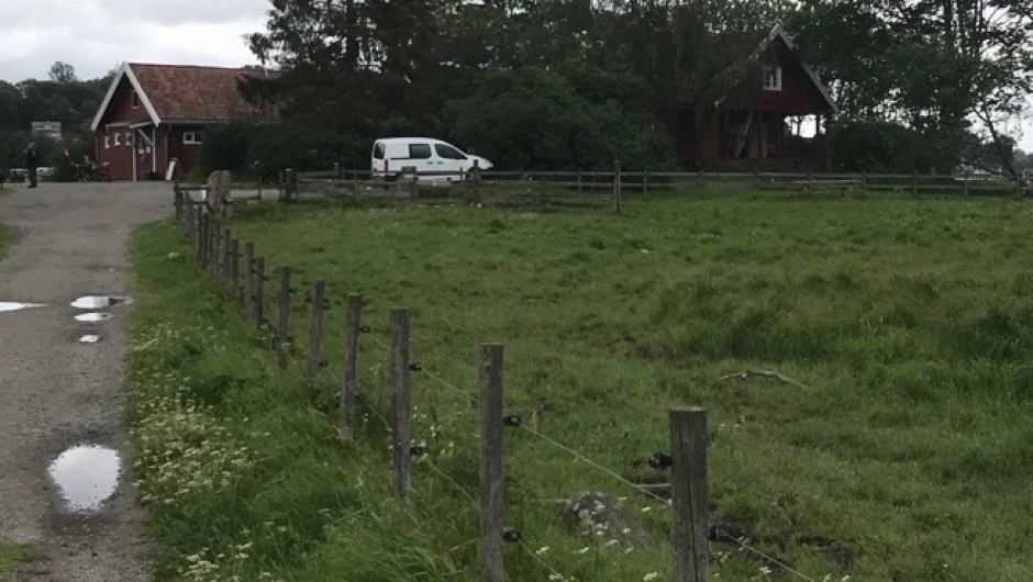 Ilene. Litt grått vær...