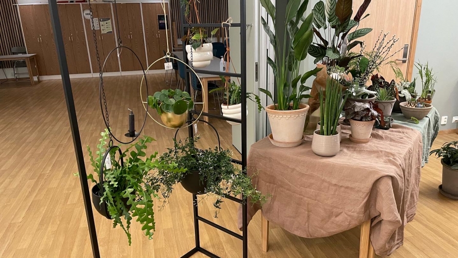 Elie sine blomster. Elie sine blomster.