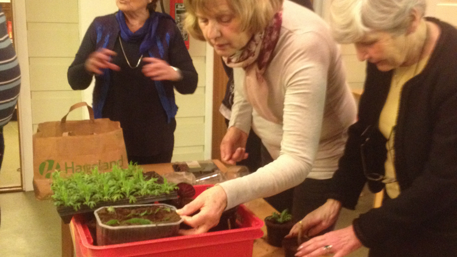 Noen av de som skaffet seg sine første planter......