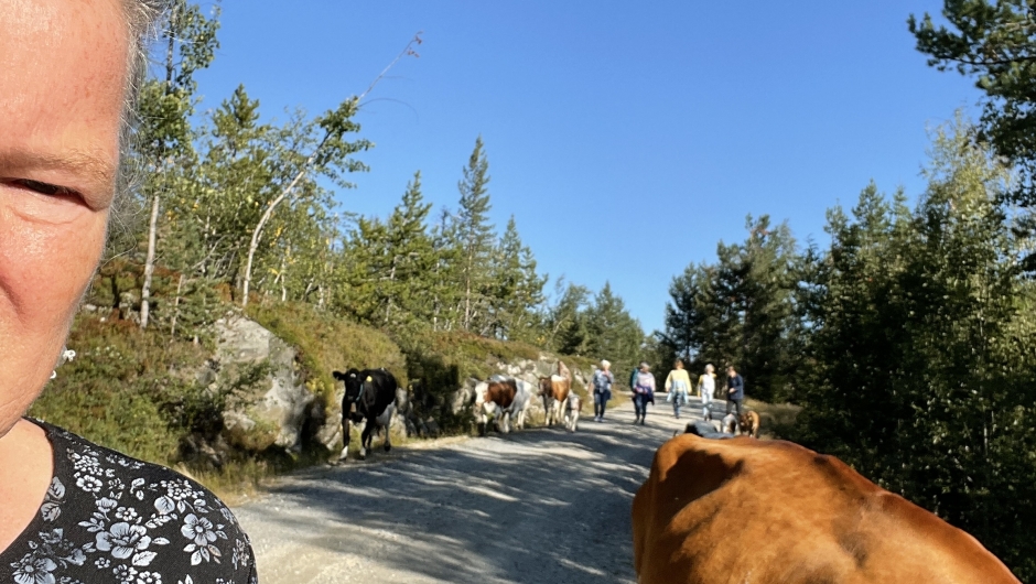Vi fulgte de et stykke på veien Vi fulgte de et stykke på veien