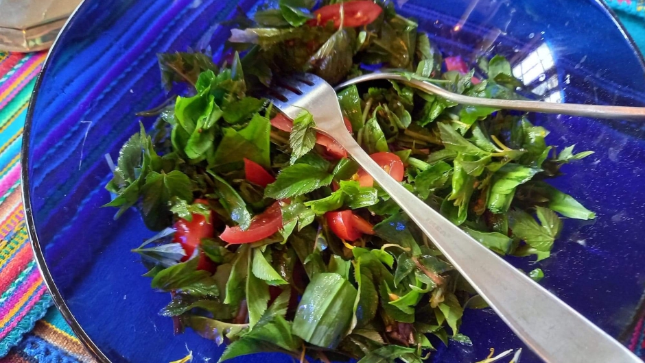 Ville vekster - salat