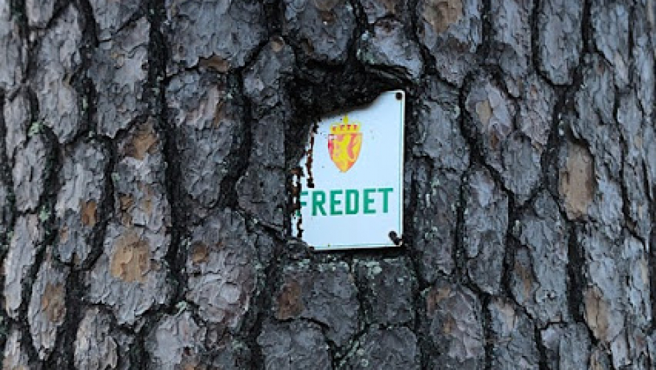 Fredet i 1938