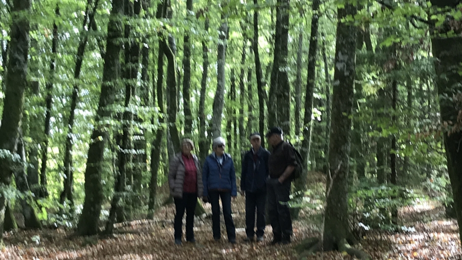 Ingegjerd, Ellen, Kåre og Ragnar