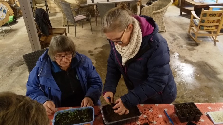 Konsentrert Konsentrert