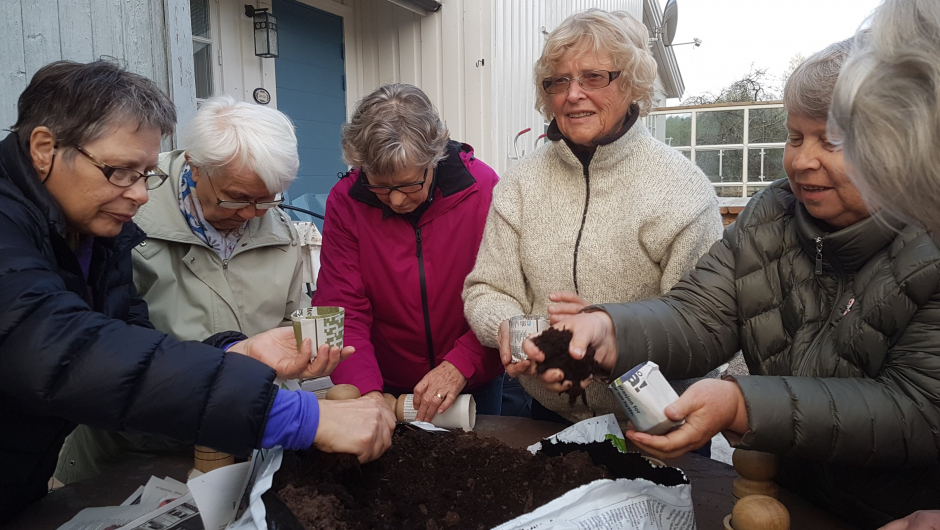 Avispotter. Avispotter