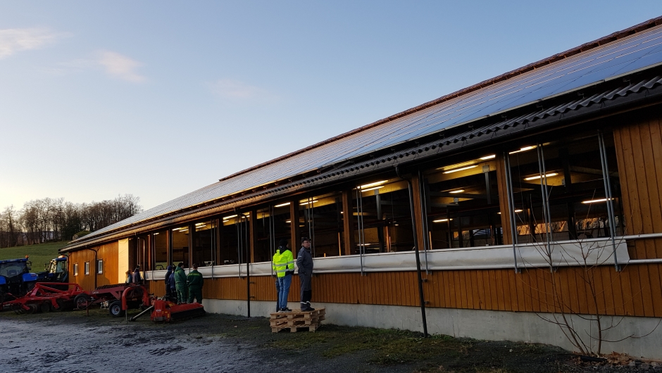 Fjøset har lufting på sidene og i taket