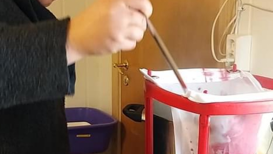 Safta blir sila i eit klede