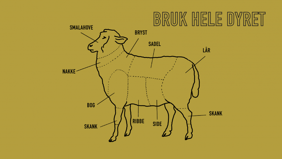 Bruk heile dyret. Bruk heile dyret.