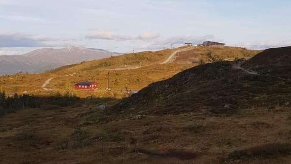 Flott turterreng for både små og store.
