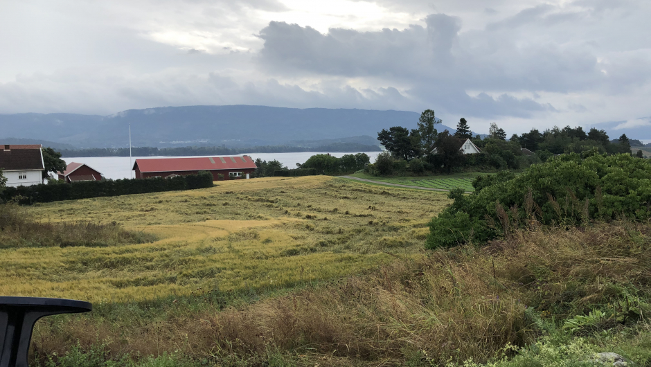 Etter første økt var vi modne for litt frisk luft Luftetur