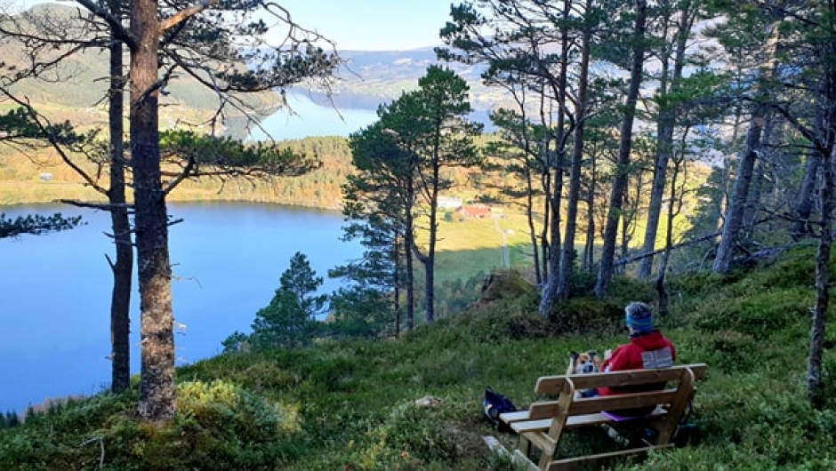 Eidsbygda Bygdekvinnelag Eidsbygda Bygdekvinnelag