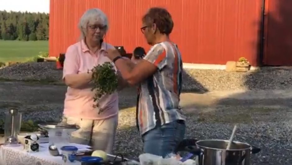 Bente tester om vassarve virkelig kan brukes i salat Bente tester om vassarve virkelig kan brukes i salat