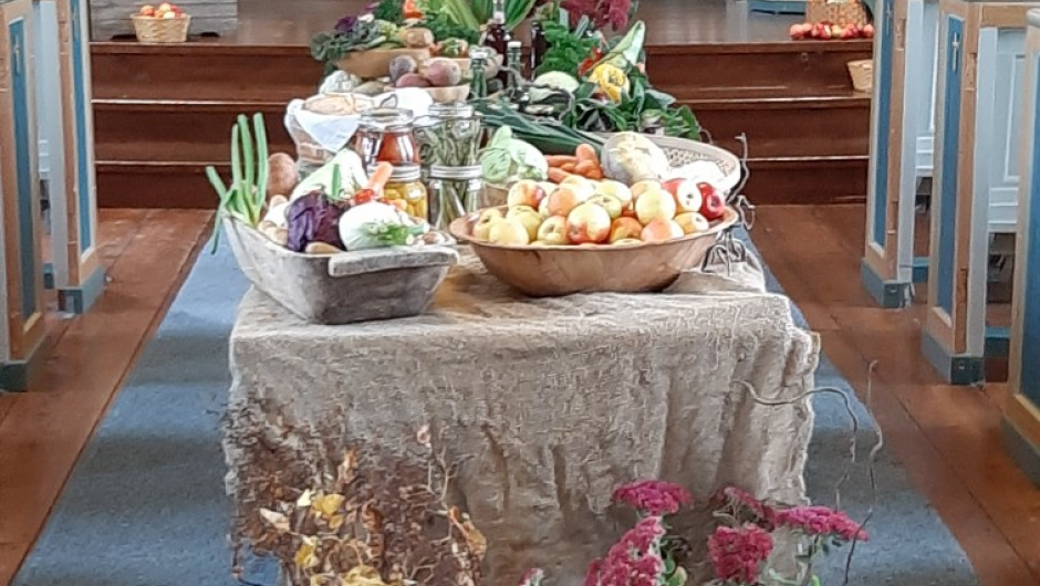 Bildene er tatt av Svanhild Kloster.