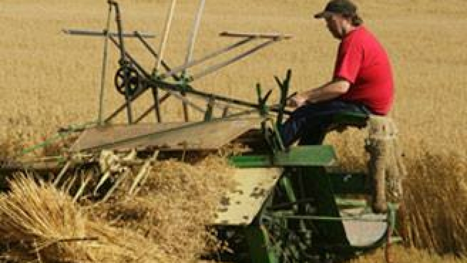 Biritapet. Høsting av råvare. Biritapet. Høsting av råvare.