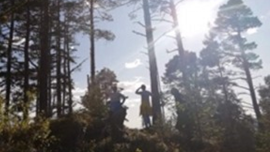 Bratsbergåsen i sol Bratsbergåsen