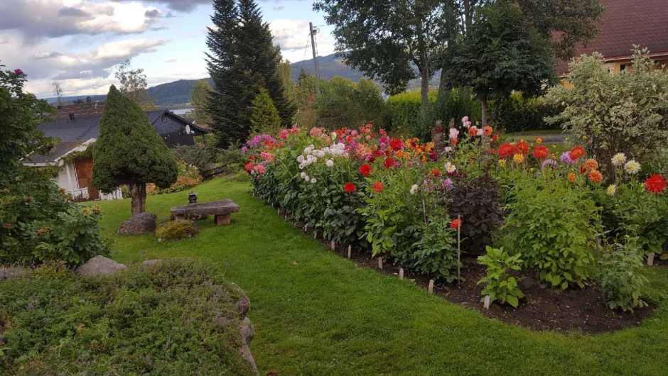 Bygdevandring georginehage Fiskum Bygdevandring georginehage Fiskum