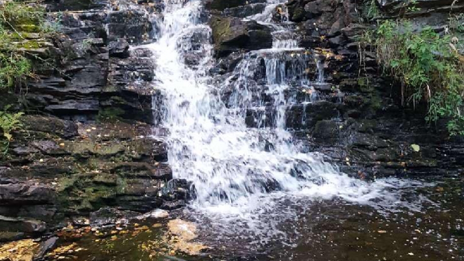 Bygdevandring langs Fiskumelva Bygdevandring langs Fiskumelva