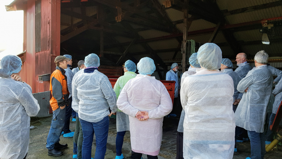 Innføring i driften