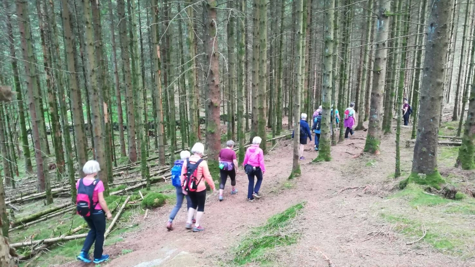 Lang lang rekke! Lang lang rekke!