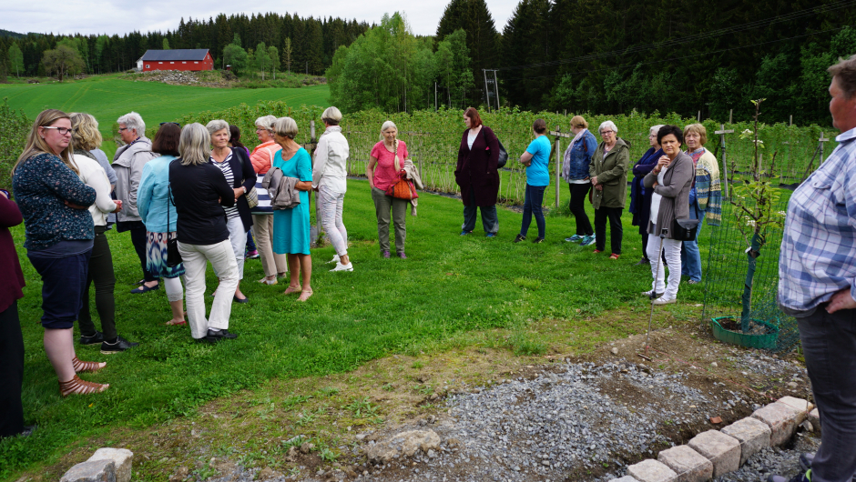 Bjørg forteller om bærproduksjon - mye og se på Bjørg forteller om bærproduksjon og det er mye og se på!