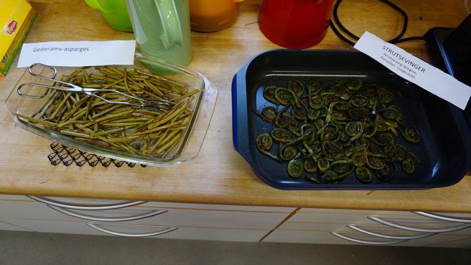 Geitramsasparges og Strutsevinge - bregne