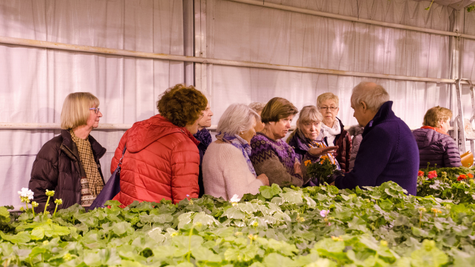 Roar viser en pelargonia og forklarer hva slags stell den vil ha Roar viser en pelargonia og forklarer hva slags stell den vil ha