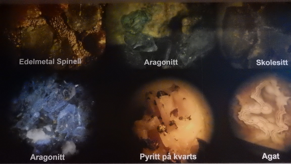 Frå steinfrisa. Frå steinfrisa.