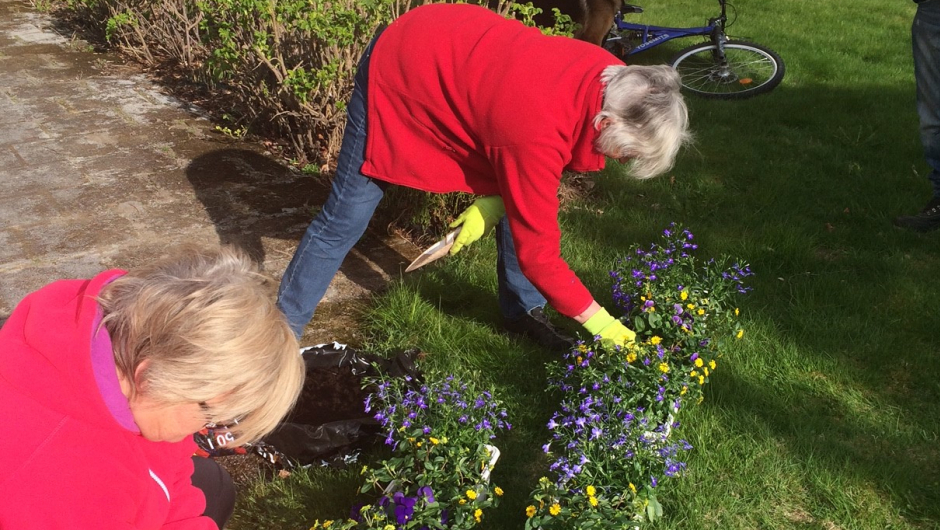Blomsterkassene blir klare. Blomsterkassene blir klare.