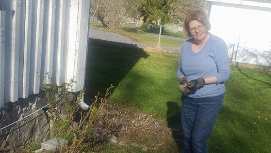 Her får rosene god omsorg!