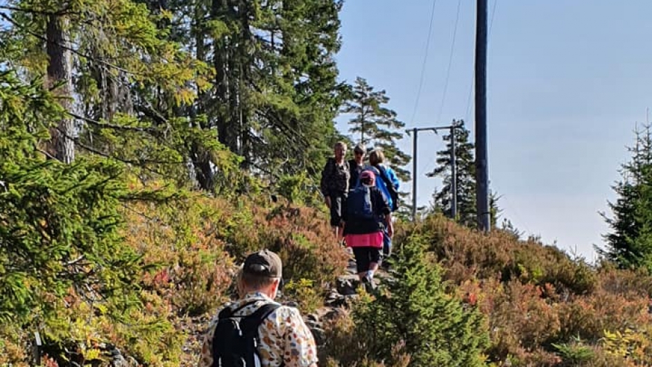 Eidskog BKL har gått tur til Hornkjøltårnet i fantastisk sensommervær.
