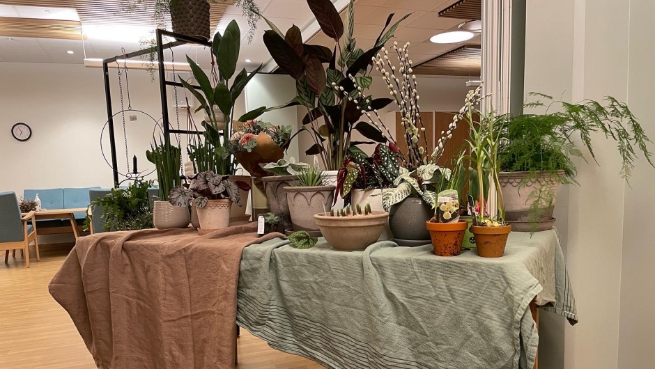 Fin blomsterutstlling Fin blomsterutstlling