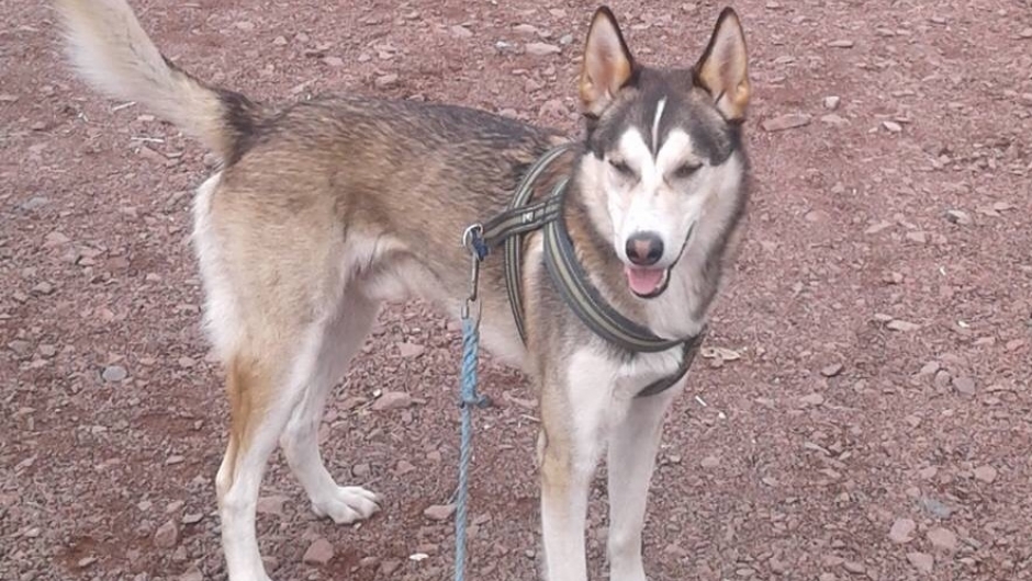 Odin synes det var en fin tur!