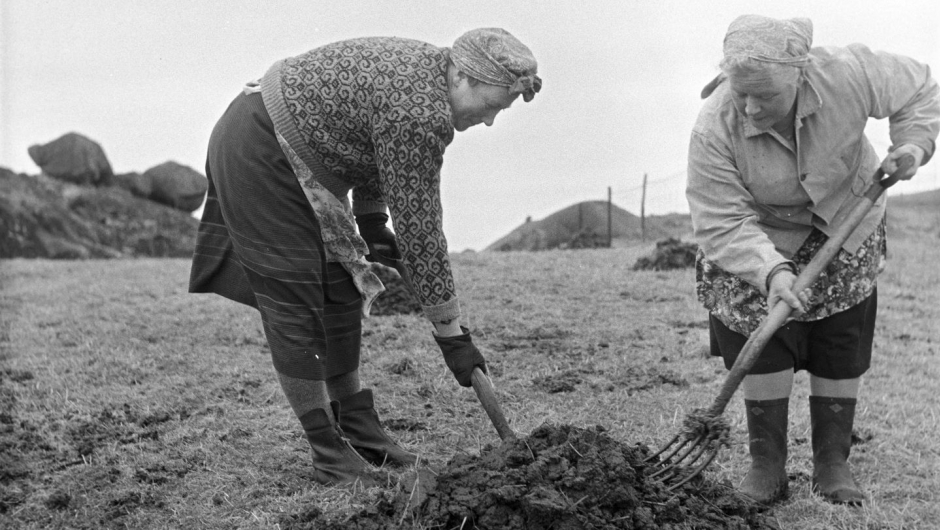 Våronn på Jæren, ca. 1957. Foto: Dagbladet/Norsk Folkemuseum