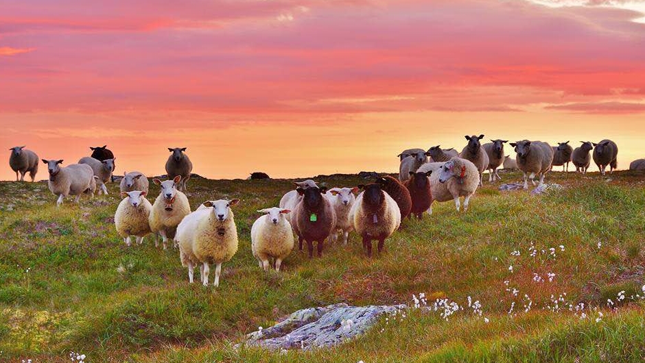 Foto: Lars Polden. 3. plassen gjekk til Lars Polden.