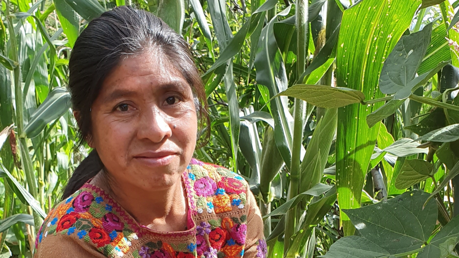 Doña Reyna har fått starthjelp av AMMID til å kjøpe husdyr og fått agronomisk opplæring. AMMID er en forkortelse som kan oversettes til «Sammenslutningen av Maya-Mam for fremme av utvikling». AMMID er en av Utviklingsfondets lokale samarbeidspartnere i Guatemala. Foto: Cesilie Aurbakken.