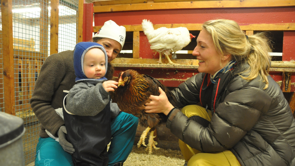 Tidlig kunnskap er viktig. Her koser Maria Almli (til høyre) seg i hønsegården sammen med ettåringen Skage og mamma Elin Aan-Quabeck på Bodin 4H-gård. Foto: Ingeborg Tangeraas.