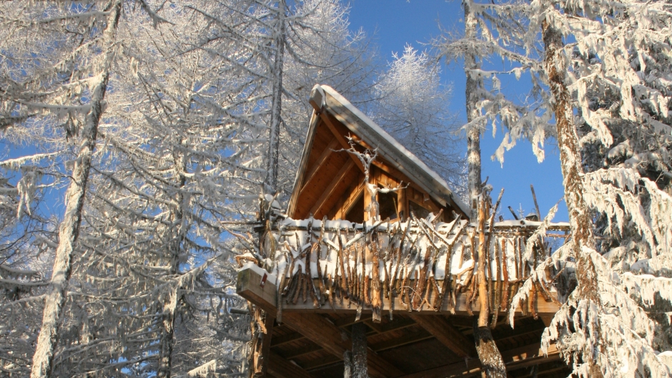 Hugs å sende inn ditt kort før 8. januar 2017. Foto: tretopphytter.no Hugs å sende inn ditt kort før 8. januar 2017. Foto: tretopphytter.no