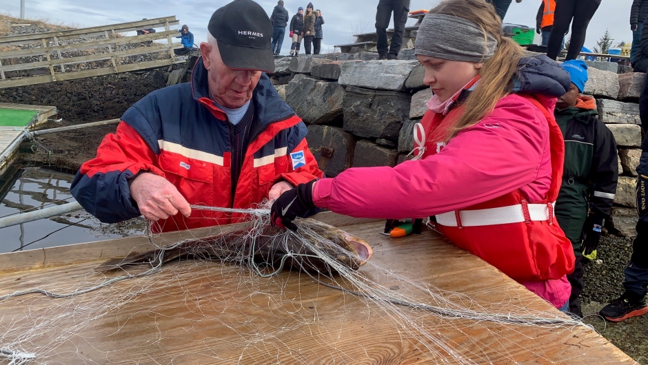 Gossen Bygdekvinnelag i samarbeid med skolen og «Den naturlege skolesekken» vart på alle måtar ein strålande skoledag med fokus på berekraftig matkunnskap frå start til slutt! Her var det ikkje lange vegen frå fisken vart dratt opp frå fjorden til ein hadde den ferdige fiskeburgaren i handa! Det må vel kunne kallast kortreist og lokal mat! Tekst og foto: Kjellaug Urdshals. Urdshals