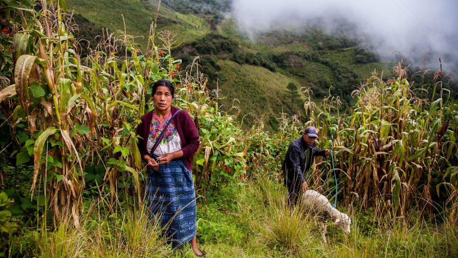 Guatemala er et av landene i verden som kjenner konsekvensene av klimaendringer hardest. Foto: Harald Herland, Applaus! filmogtv AS