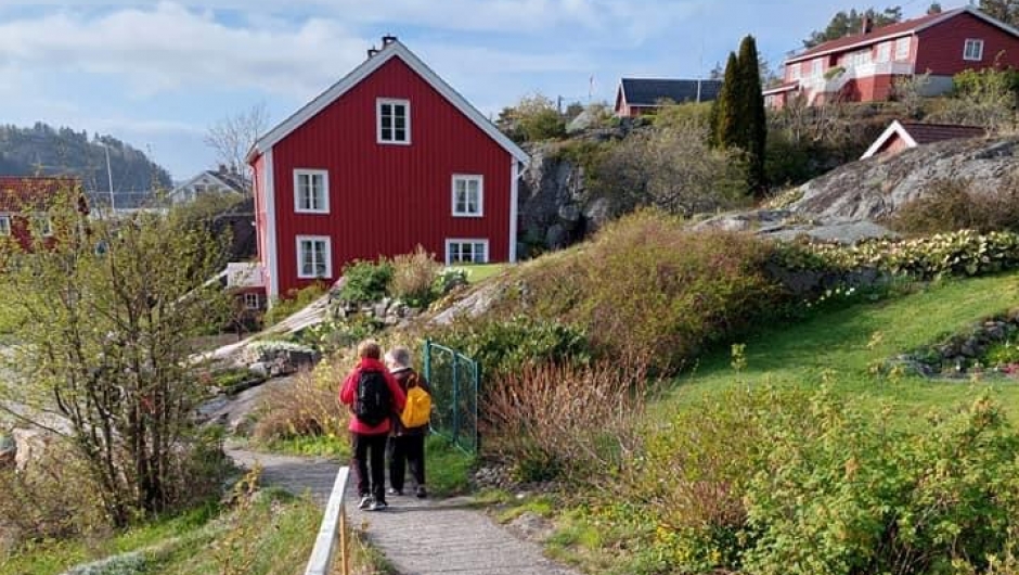 Sommerhilsen fra en av gåturene til Holt Bygdekvinnelag som holder til i Agder. Foto: Holt Bygdekvinnelag 
