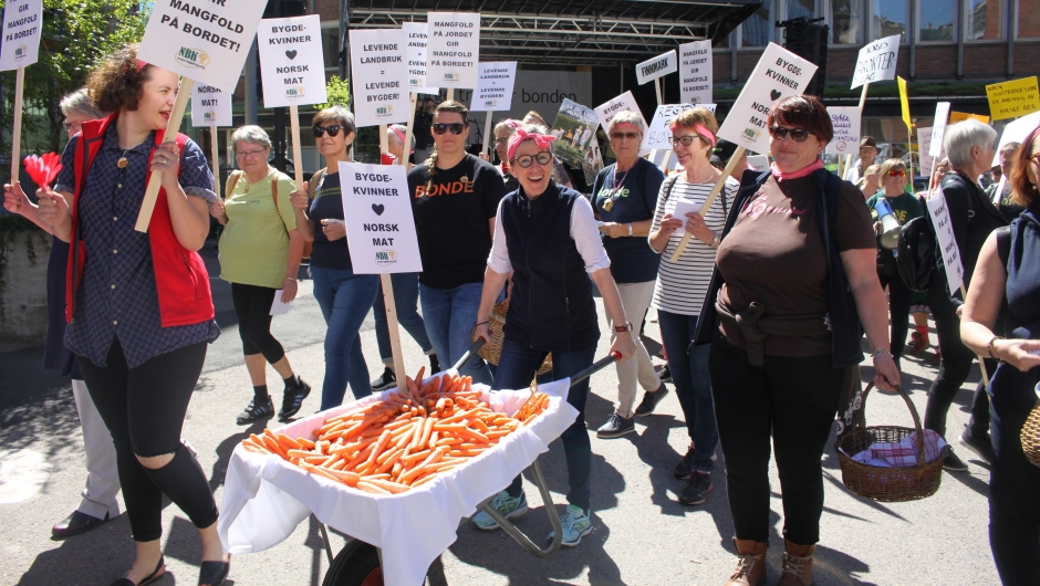 Klar til å gi ut norske gulrøtter som bygdekvinnene fikk fra Gartnerhallen.