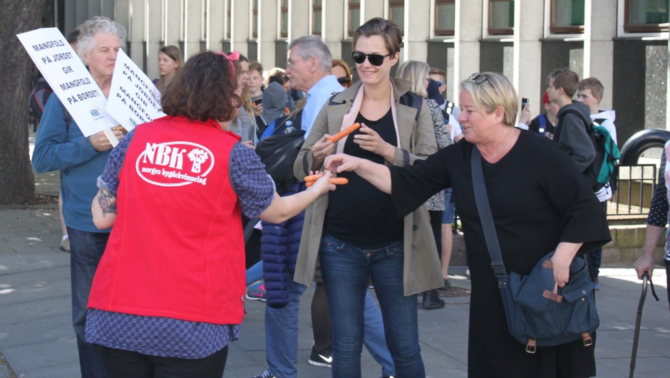 Vi greide å hilse på noen stortingspolitikere også på turen - og de fikk selvfølgelig gulrøtter.