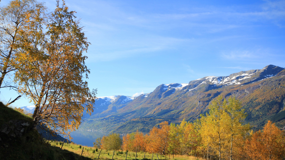 Sørfjorden i haustfargar