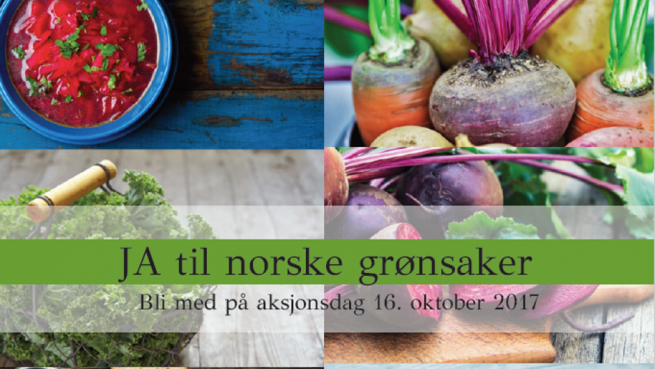 Norske grønsaker er i verdsklasse. Bli med på aksjon!