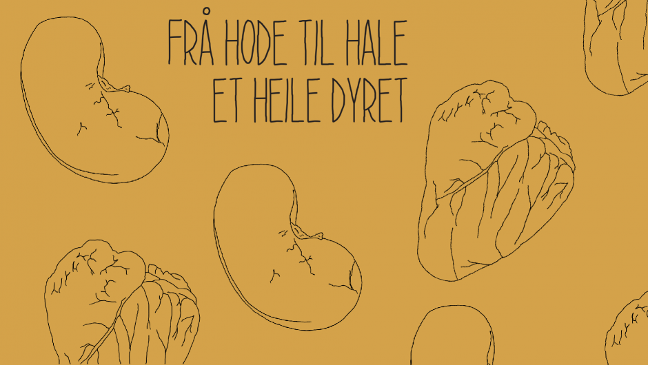 Illustrasjon: Hjerte og nyre, og tekst "Frå hode til hale, et heile dyret"
