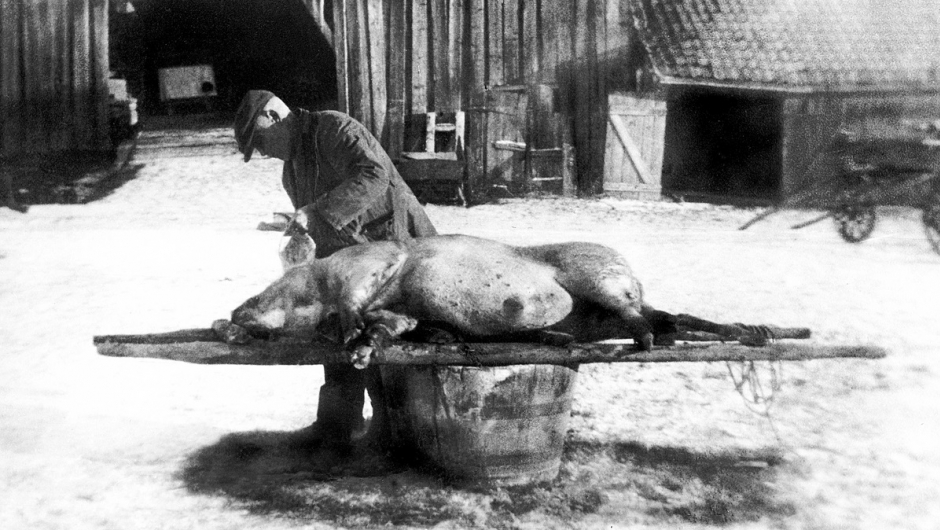 Illustrasjonsfoto: Fra Østfold fylkes billedarkiv.