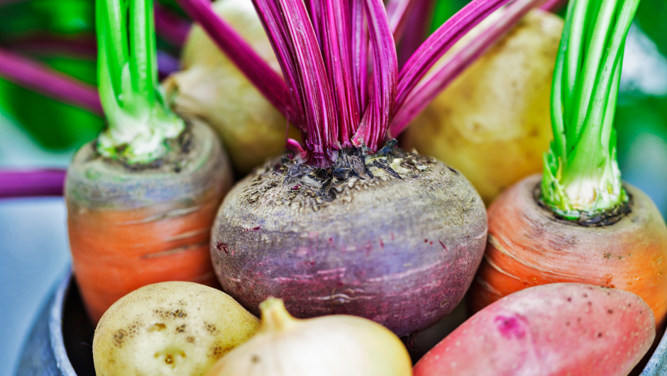Rotgrønsaker og beter har eit høgt innhald av fiber som gjer dei gode og mettande. Foto: shutterstock